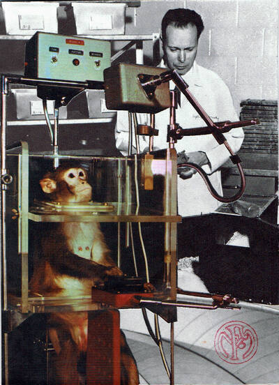 Black to the Future
Black to the Future