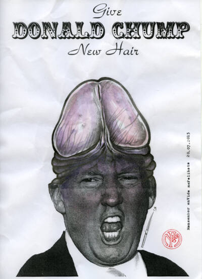 Give Donald Chump New Hair
