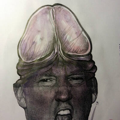 Give Donald Chump New Hair
