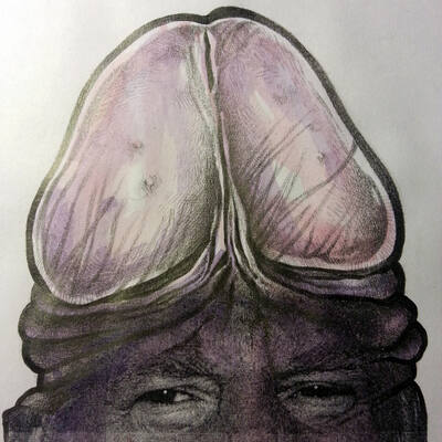 Give Donald Chump New Hair
