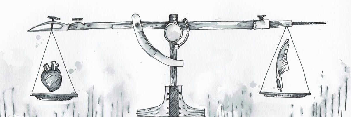 Value Judgment
